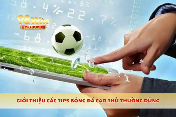 Giới thiệu các tips bóng đá cao thủ thường dùng